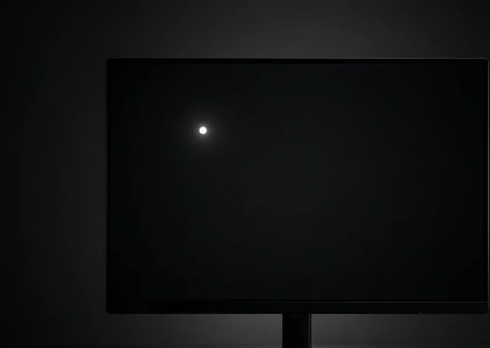 A single bright white dead pixel spot visible on an otherwise black monitor screen, a common warranty claim